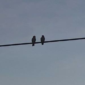 Meet your Posher, Kerry